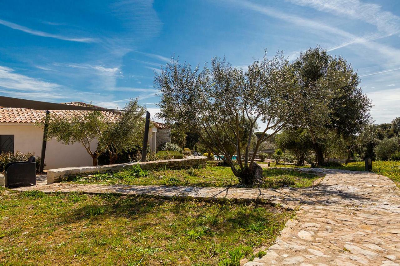 L'Albitru Villa Bonifacio  Exterior foto